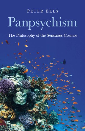 Panpsychism: The Philosophy of the Sensuous Cosmos von John Hunt Publishing
