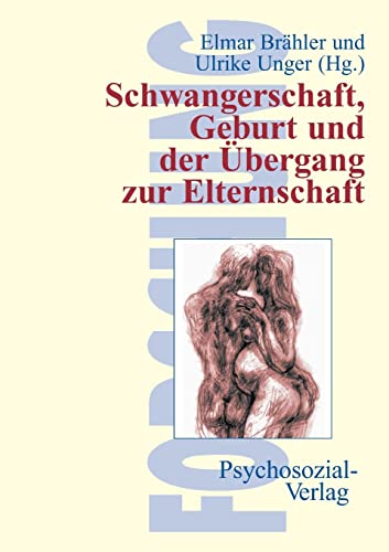 Schwangerschaft, Geburt und der Übergang zur Elternschaft: Empirische Studien (Forschung psychosozial)