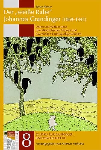 Der weiße Rabe Johannes Grandinger (1869-1941): Leben und Wirken eines liberalkatholischen Pfarrers und bayerischen Landtagsabgeordneten (Studien zur Bamberger Bistumsgeschichte) von Imhof Verlag