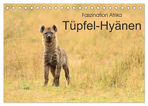 Faszination Afrika: Tüpfel-Hyänen (Tischkalender 2024 DIN A5 quer), CALVENDO Monatskalender von CALVENDO
