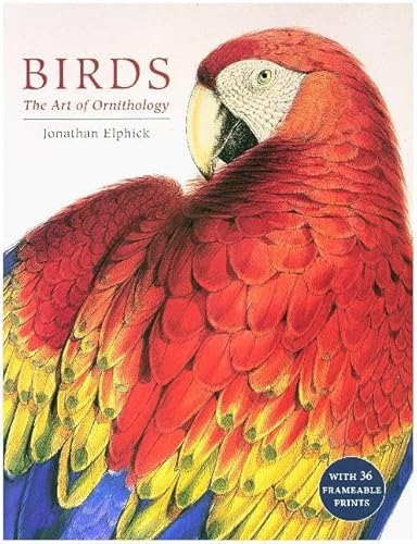 Birds: The Art of Ornithology