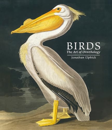 Birds: The Art of Ornithology