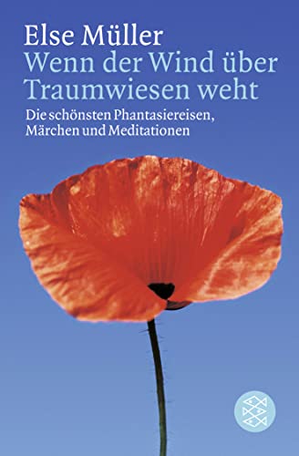 Wenn der Wind über Traumwiesen weht: Die schönsten Phantasiereisen, Märchen und Meditationen