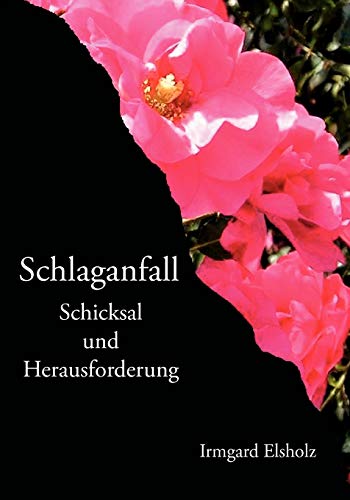 Schlaganfall: Schicksal und Herausforderung von Books on Demand GmbH