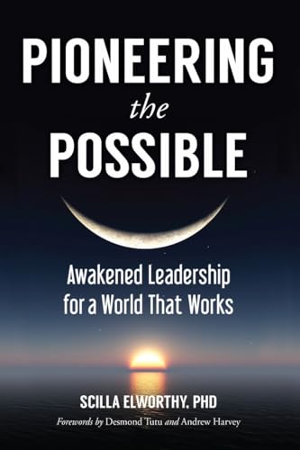 Pioneering the Possible: Awakened Leadership for a World That Works (Sacred Activism, Band 7)