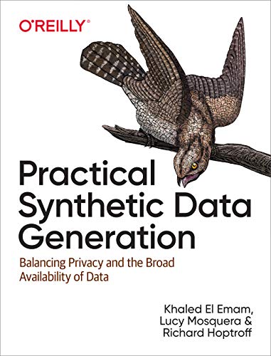 Practical Synthetic Data Generation: Balancing Privacy and the Broad Availability of Data von O'Reilly Media