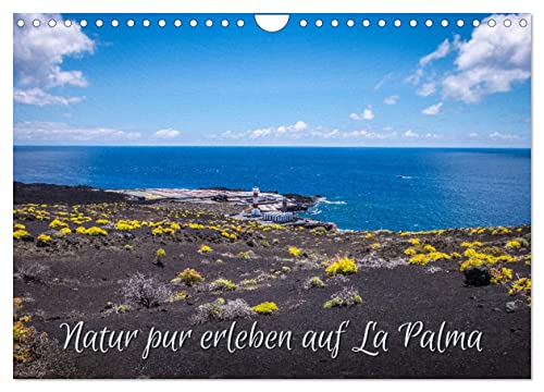 Natur pur erleben auf La Palma (Wandkalender 2025 DIN A4 quer), CALVENDO Monatskalender