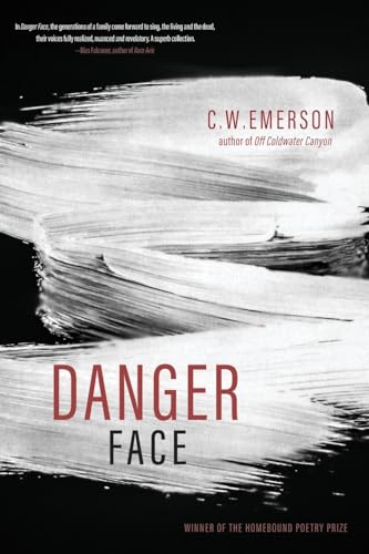 Danger Face Danger Face von Wayfarer Books