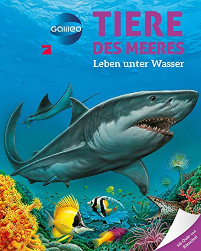 Galileo Wissen: Tiere des Meeres: Leben unter Wasser