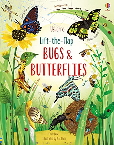 Lift-the-Flap Bugs and Butterflies: 1 (See Inside) von USBORNE CAT ANG