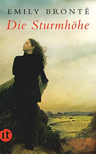 Die Sturmhöhe: Roman (insel taschenbuch)