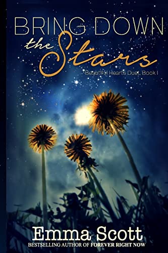 Bring Down the Stars (Beautiful Hearts Duet, Band 1) von CREATESPACE