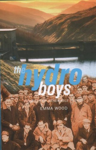 The Hydro Boys: Pioneers of Renewable Energy von Luath Press Ltd