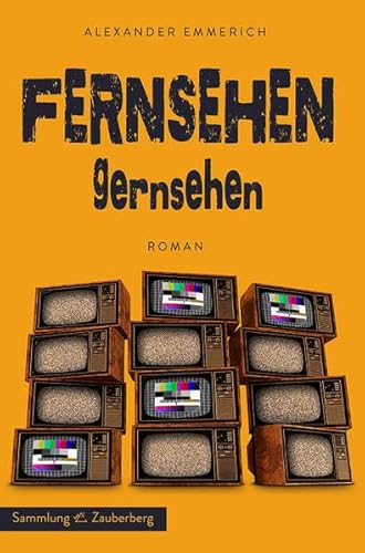 Fernsehen gernsehen: Roman