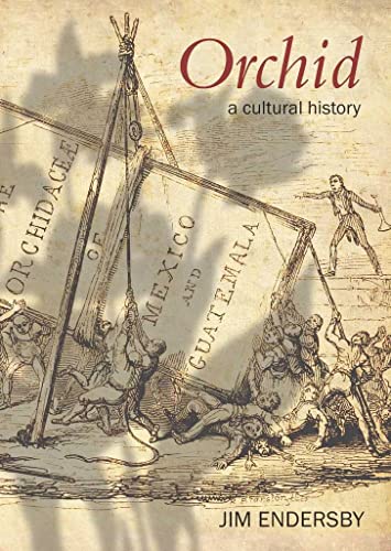 Orchid: A Cultural History