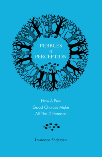 Pebbles of Perception: How a Few Good Choices make All the Difference von Independently published