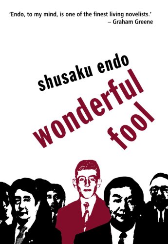 Wonderful Fool (Peter Owen Modern Classics)