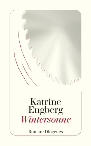 Wintersonne: Der Kopenhagen-Krimi (detebe)
