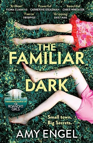 The Familiar Dark: The must-read, utterly gripping thriller you won't be able to put down von HODDER AND STOUGHTON