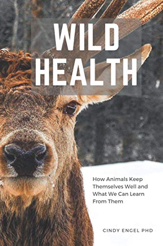 Wild Health: How Animals Keep Themselves Well And What We Can Learn From Them