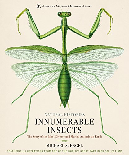 Innumerable Insects: The Story of the Most Diverse and Myriad Animals on Earth (Natural Histories) von Union Square & Co.