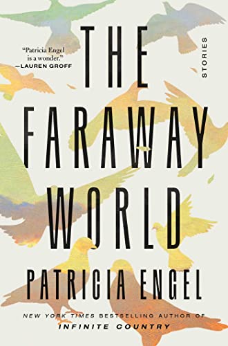 The Faraway World: Stories von Avid Reader Press / Simon & Schuster