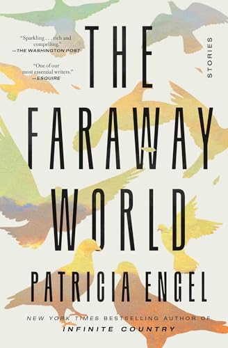The Faraway World: Stories von Avid Reader Press / Simon & Schuster