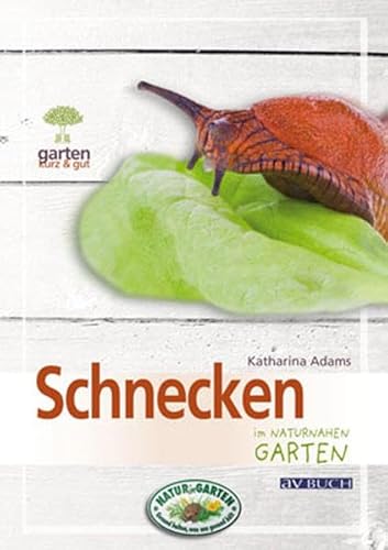 Schnecken im naturnahen Garten