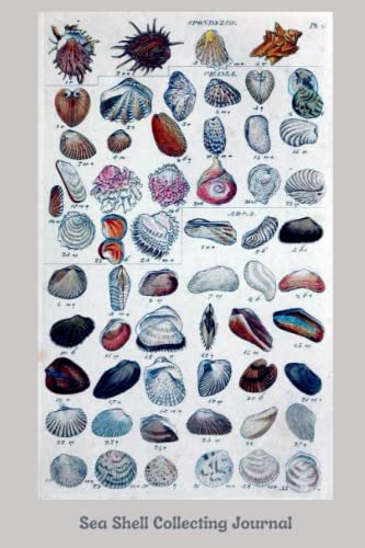 Sea Shell Collecting Journal: Shell Collection Log Book | Beachcombing Notebook | Sea Shell Log Book for Nature Lovers |Keep Track of Your Collection