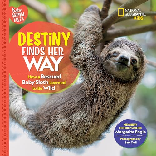 Destiny Finds Her Way: How a Rescued Baby Sloth Learned to Be Wild (Baby Animal Tales) von National Geographic Kids