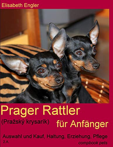 Prager Rattler (Praský krysarík) für Anfänger. Auswahl und Kauf, Erziehung, Haltung, Pflege