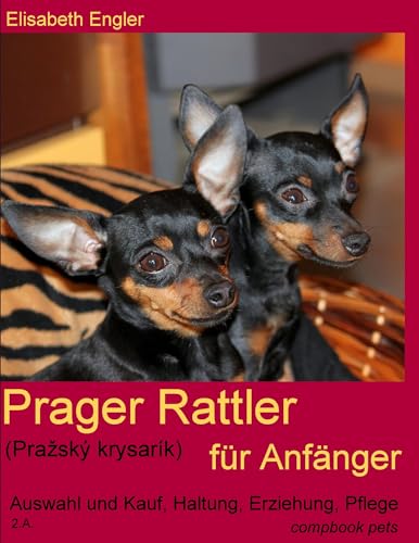 Prager Rattler (Praský krysarík) für Anfänger. Auswahl und Kauf, Erziehung, Haltung, Pflege