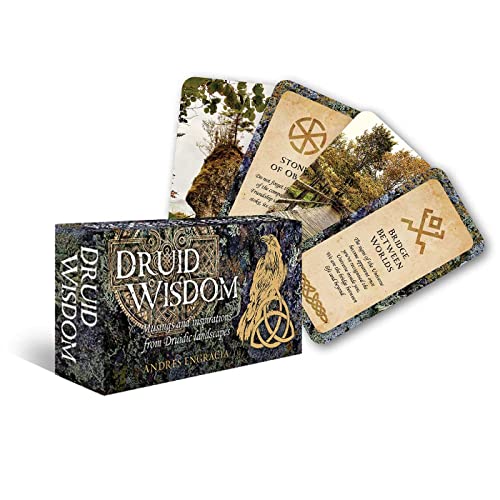 Druid Wisdom: Musings and Inspirations from Druidic Landscapes (Mini Inspiration Cards) von Rockpool Publishing