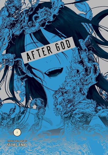 After God, Vol. 1 (AFTER GOD GN, Band 1) von Viz LLC