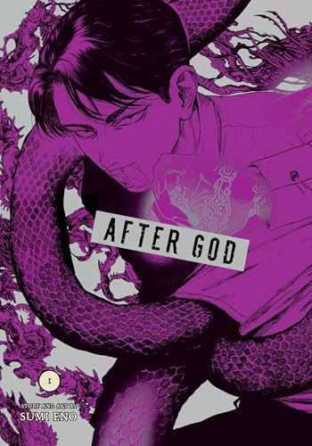 After God, Vol. 3 (AFTER GOD GN, Band 3) von Viz LLC