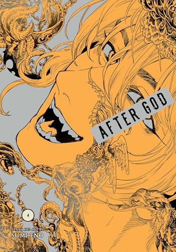 After God, Vol. 4 (AFTER GOD GN, Band 4) von Viz LLC