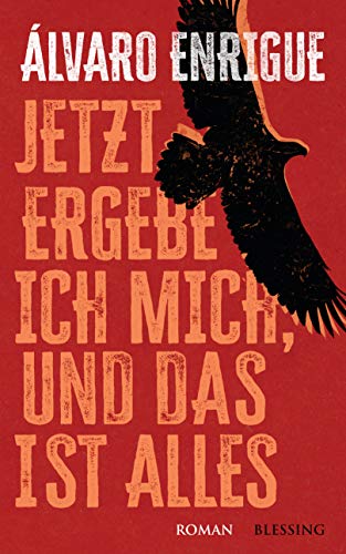 Jetzt ergebe ich mich, und das ist alles: Roman