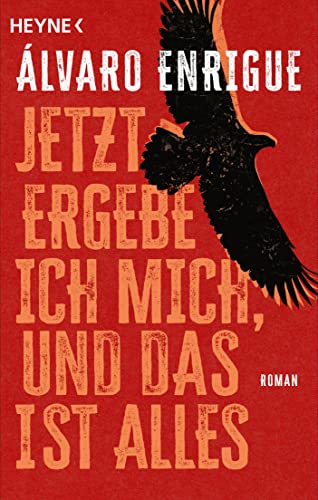 Jetzt ergebe ich mich, und das ist alles: Roman