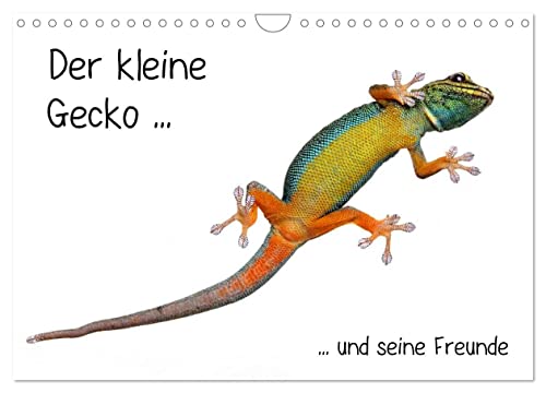 Der kleine Gecko und seine Freunde (Wandkalender 2024 DIN A4 quer), CALVENDO Monatskalender von CALVENDO