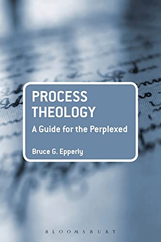 Process Theology: A Guide for the Perplexed (Guides for the Perplexed) von T&T Clark