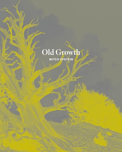 Old Growth von Steidl Verlag