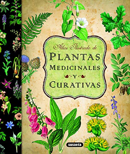 Plantas medicinales y curativas (Atlas Ilustrado)