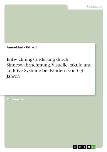 Entwicklungsförderung durch Sinneswahrnehmung. Visuelle, taktile und auditive Systeme bei Kindern von 0-3 Jahren von GRIN Verlag