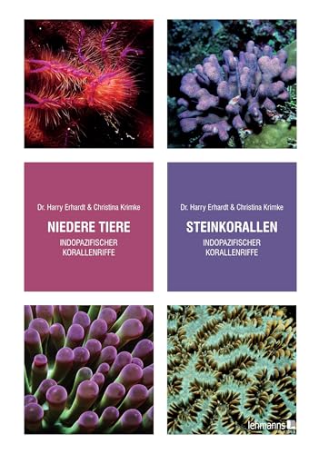 Steinkorallen/Niedere Tiere indopazifischer Korallenriffe Steinkorallen/Niedere Tiere indopazifischer Korallenriffe von Lehmanns Media
