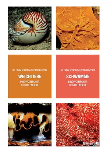 Weichtiere/Schwämme indopazifischer Korallenriffe Weichtiere/Schwämme indopazifischer Korallenriffe von Lehmanns Media