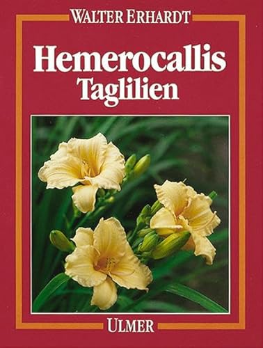 Hemerocallis: Taglilien