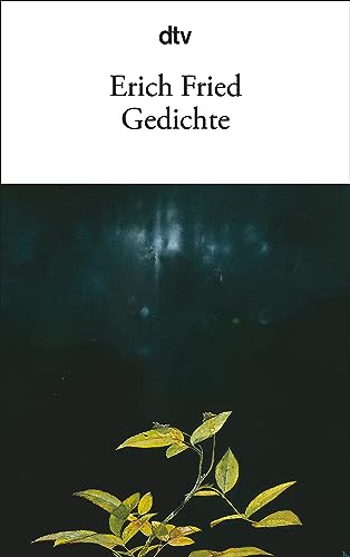 Gedichte: Roman