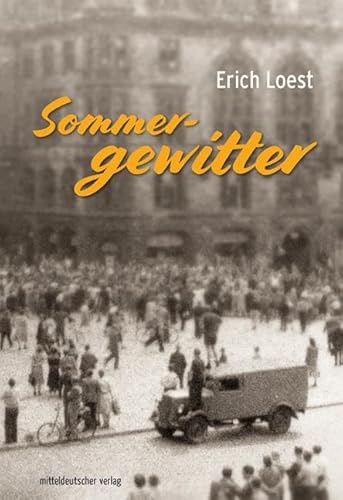 Sommergewitter: Roman