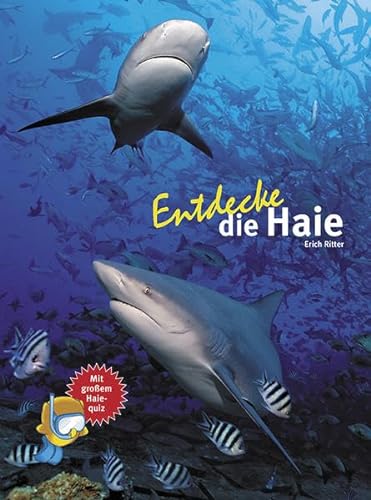 Entdecke die Haie: Mit großem Haiequiz (Entdecke - Die Reihe mit der Eule: Kindersachbuchreihe)