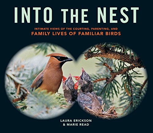 Into the Nest: Intimate Views of the Courting, Parenting, and Family Lives of Familiar Birds Into the Nest: Intimate Views of the Courting, Parenting, and Family Lives of Familiar Birds